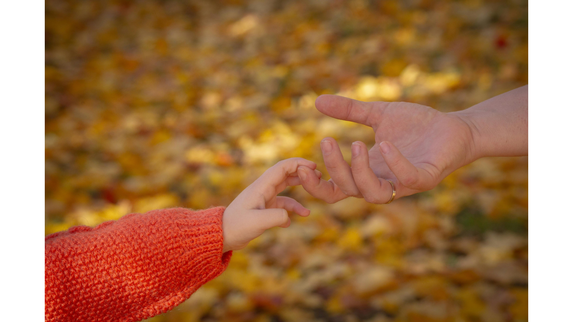 名称未設定のデザイン (1)